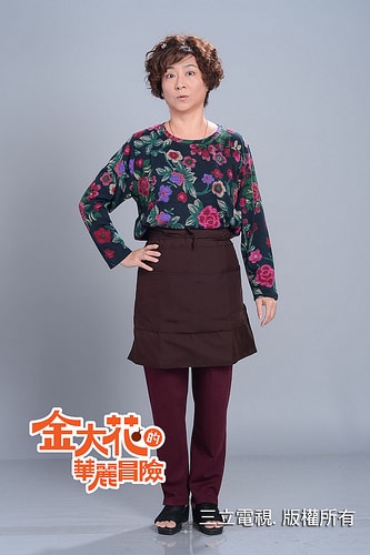金大花的華麗冒險  各角色定妝照